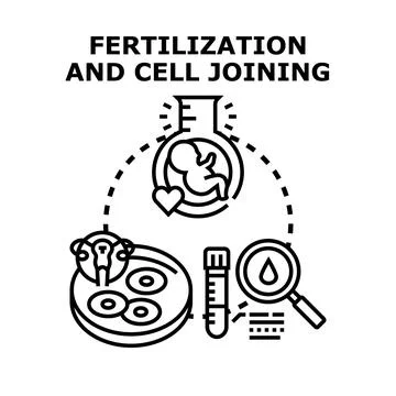 Fertilization and cell joining concept in laboratory Illustrazione stock