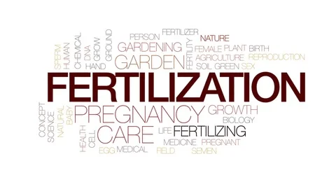 Plant Fertilazation Animation Stock Videos – Royalty-Free HD & 4K ...