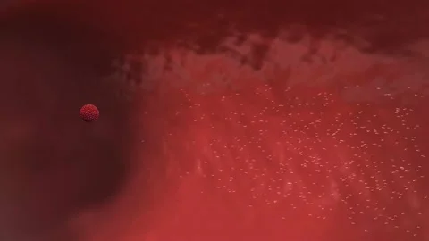 Fertilization can only occur with the meeting of a sperm and an egg. Stock Footage 229424657