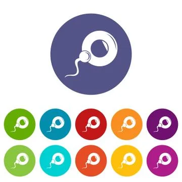 Fertilization egg icons set vector color Stockillustratie