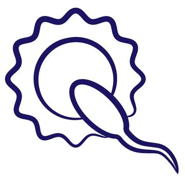 Fertilization of an egg by a sperm. Minimal vector icon drawn with brush line Ilustración de archivo