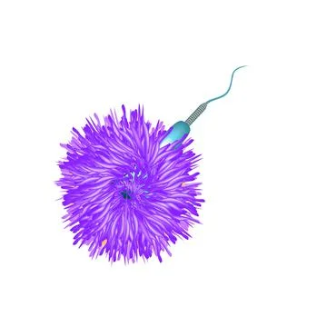 Fertilization of an egg with sperm. Vector illustration on isolated background Stock Illustration