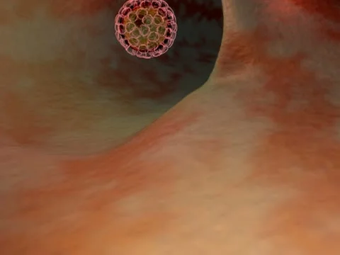 Fertilization of human egg 库存影片 10821153