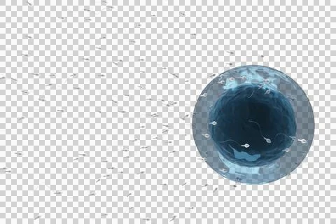 Fertilization of human egg 스톡 일러스트