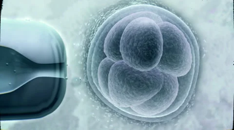 Fertilization ICSI CGI Vidéo 33547322