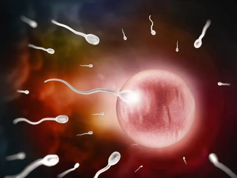Fertilization - new beginnings Stock Illustration