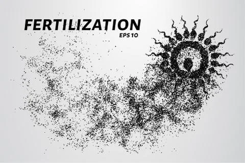 Fertilization of the particles. The sperm consists of circles and points. Vec Stock Illustration