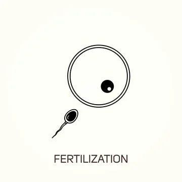 Fertilization process. Human sperm cell icon. Abstract icon goal, sperm vecto Illustrazione stock