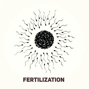 Fertilization process. Human sperm cell icon. Abstract icon goal, sperm vecto Stock Illustration