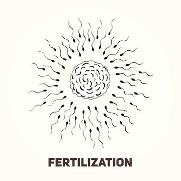 Fertilization process. Human sperm cell icon. Abstract icon goal, sperm vecto Illustrazione stock