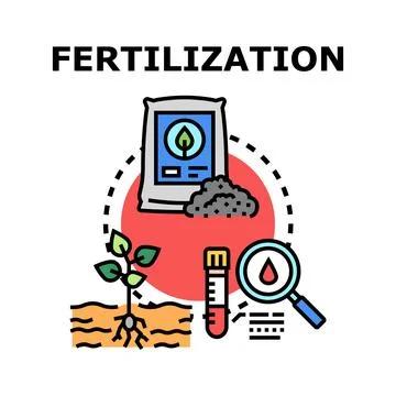 Fertilization process nourishing soil for growing plant Illustrazione stock