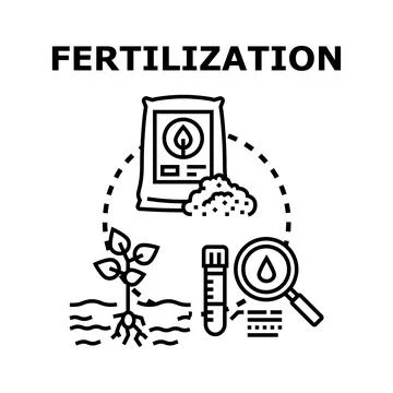 Fertilization process nourishing soil for growing plant Illustrazione stock