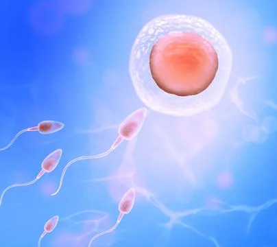 Fertilization process. Sperm cells moving to ovum on blue background Illustrazione stock