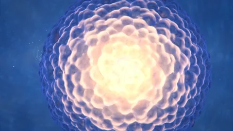 Fertilization Process Spermatozoon Fusion Stock Footage 90770608