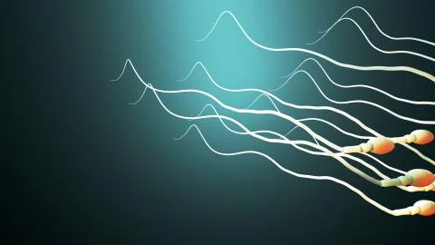 Fertilization, sperm marathon to fertilize the egg Stock Illustration