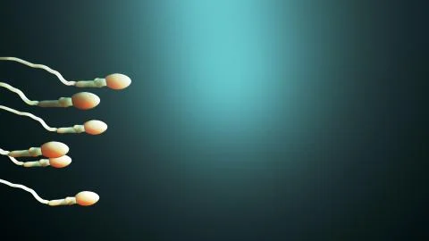 Fertilization, sperm marathon to fertilize the egg Illustrazione stock