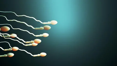 Fertilization, sperm marathon to fertilize the egg Illustrazione stock