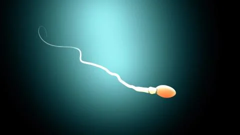 Fertilization, sperm marathon to fertilize the egg Stock Illustration