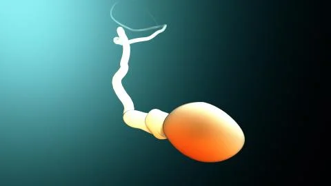 Fertilization, sperm marathon to fertilize the egg Stock Illustration