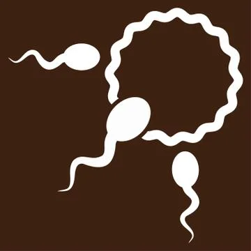 Fertilization Vector Icon イラスト素材