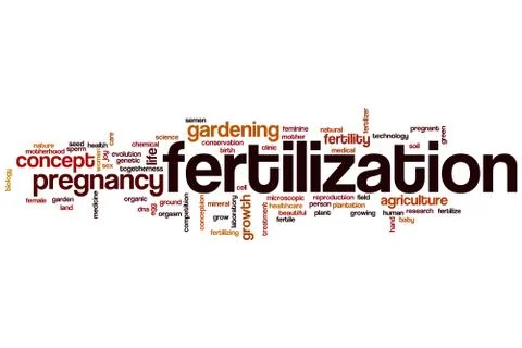 Fertilization word cloud Stock Illustration