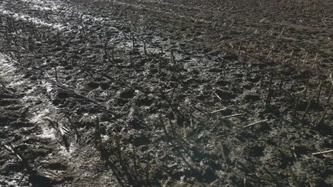 Fertilized soil, field with liquid slurry. Organic agriculture Stock Footage 221093795