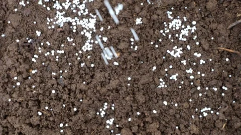 Fertilizer Balls Falls Stock Footage 277226338