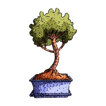 Fertilizer bonzai tree sketch hand drawn vector Illustrazione stock