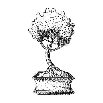 Fertilizer bonzai tree sketch hand drawn black Stock Illustration