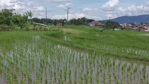 Fertilizer Stock Footage 236968723