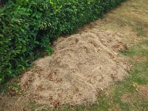 Fertilizer hay Stock Photos