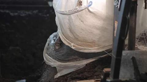 Fertilizer loading Stock Footage 107319108