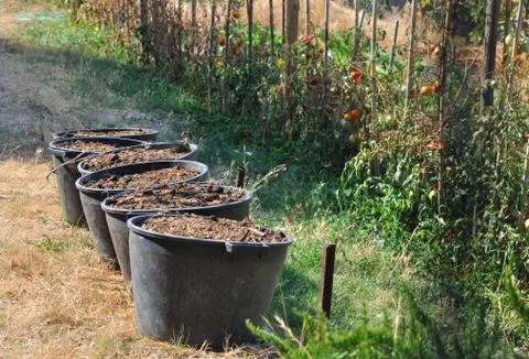 Fertilizer Stock Photos