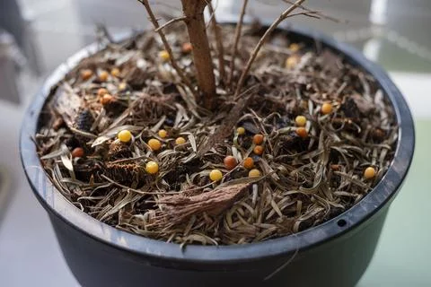 Fertilizer Stock Photos