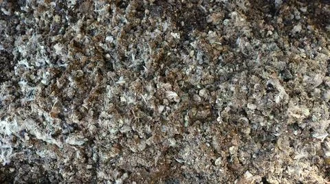Fertilizer from poultry manure close up Stock Photos