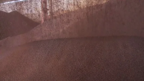 Fertilizer raw material is poured to the ground Stock Footage 121696020
