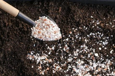 Fertilizer for Soil Eggshells. Organic waste, Bio Compost waste recycling Stock Photos
