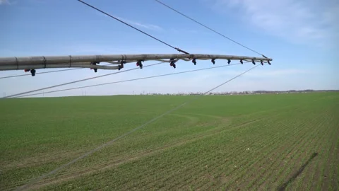 Fertilizer sprayer machine. The beginning of sowing the crop. Harvest. Stock Footage 270923596