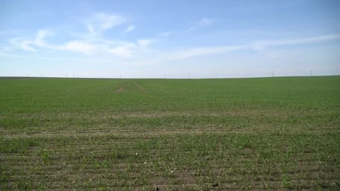 Fertilizer sprayer machine. The beginning of sowing the crop. Harvest. Stock Footage 270923971