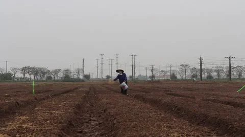 Fertilizer for vegetables Stock Footage 64577961