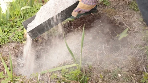 Fertilizing earth with ash Stock Footage 128251809