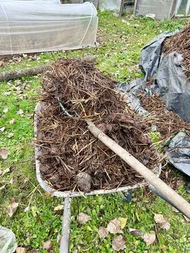 Fertilizing in the garden Stock Photos