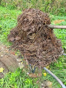 Fertilizing in the garden Stock Photos