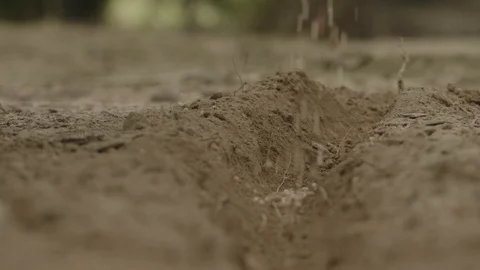 Fertilizing Land Stock Footage 128951324