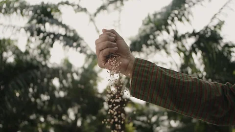 Fertilizing land Stock Footage 128951343