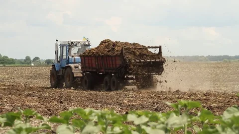Fertilizing with natural manure Stock Footage 92587402