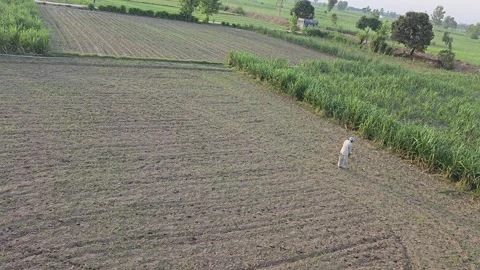 Fertilizing Their Agricultural Lands Stock Footage 313571675
