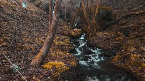 Ferveda de Rus - Water Flowing To The River From Waterfall Stock Footage 302918908