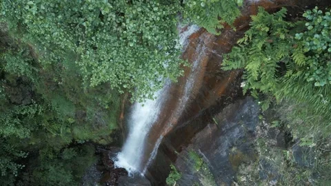 Fervenza do Rexio (Caurel) Waterfalls Nestled In The Lush Video stock 280043673