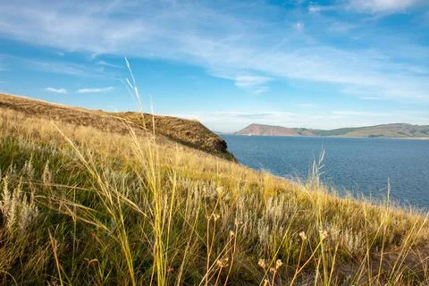 Fescue close-up on the background of the river and mountains. Selective focus Stock Photos